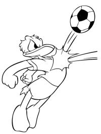piłkarz donald duck