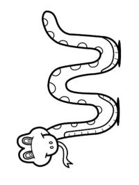 Węże