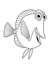 Żółtek (Gdzie jest Nemo?)