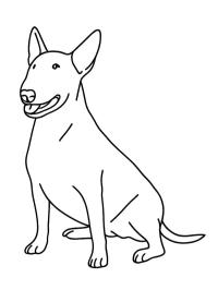 Bulterier