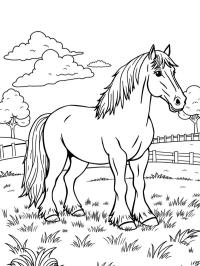 Koń clydesdale