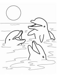 Delfiny w morzu