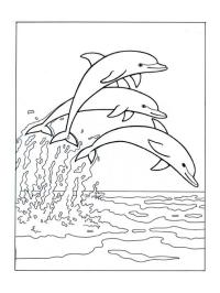 Delfiny skaczą w morzu