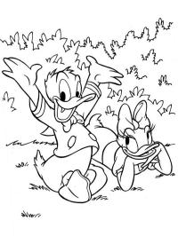 Kaczor Donald i Kaczka Daisy