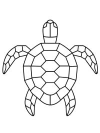 Geometryczny żółw