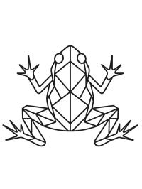 Geometryczna żaba