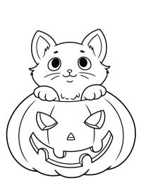 Halloweenowy kot