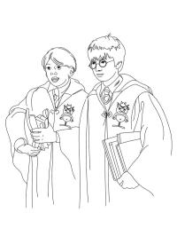 Harry Potter i Ron Weasley