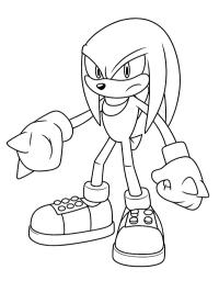 Kolczatka Knuckles