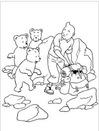 Tintin i niedźwiadki