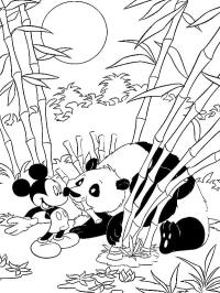 Myszka Miki i panda