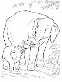 Słoń i słoniątko
