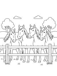 Stado koni za ogrodzeniem