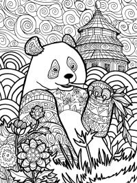 Panda dla dorosłych