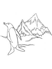 Pingwin na biegunie południowym