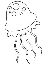 Urocza meduza