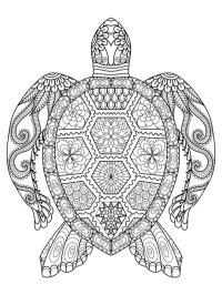 tatuaż mandali żółwia