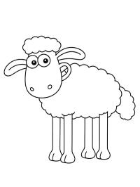 Shaun (Baranek Shaun)
