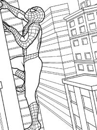 Spiderman wspina się na budynek