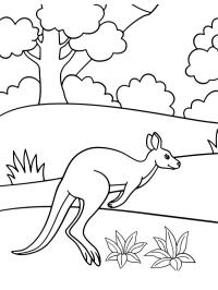 Skaczący kangur