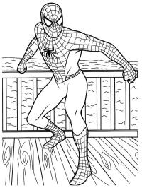 Odważny Spiderman