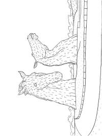 The Kelpies Szkocja
