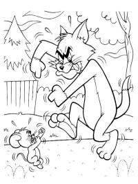 Tom I Jerry walczą