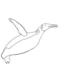 Latający pingwin