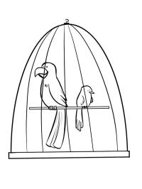 Ptaszki w klatce