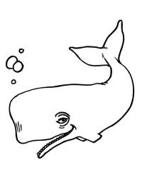 Wieloryb
