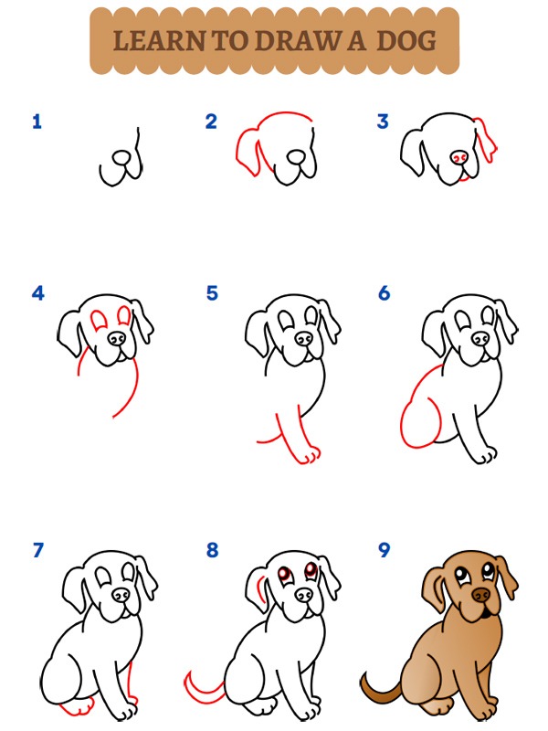 Jak narysować psa