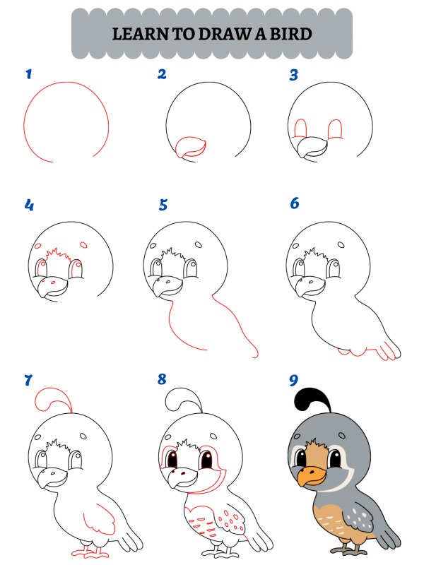 Jak narysować ptaka