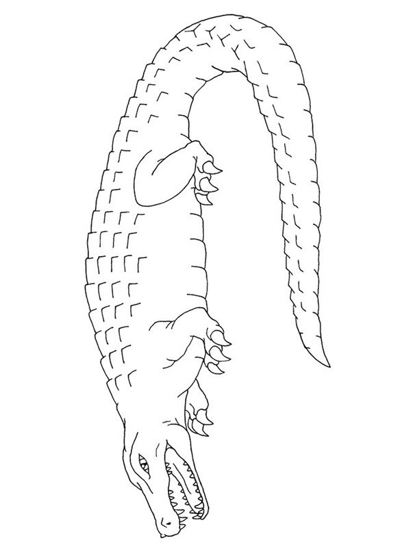 krokodyl kolorowanka