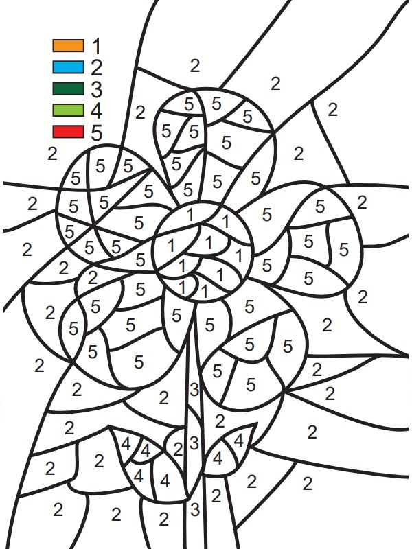 Kwiat kolorowanka numeryczna kolorowanka