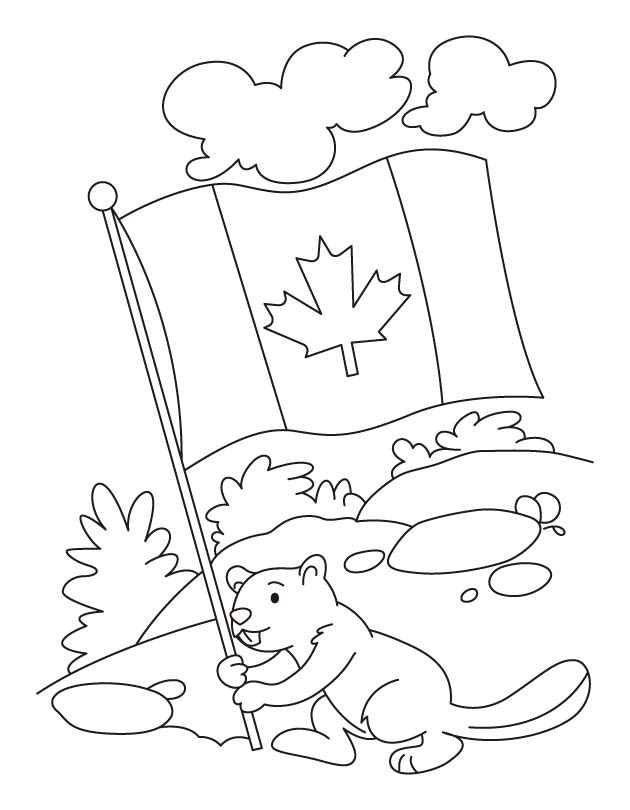 Bóbr trzyma flagę Kanadyjską kolorowanka
