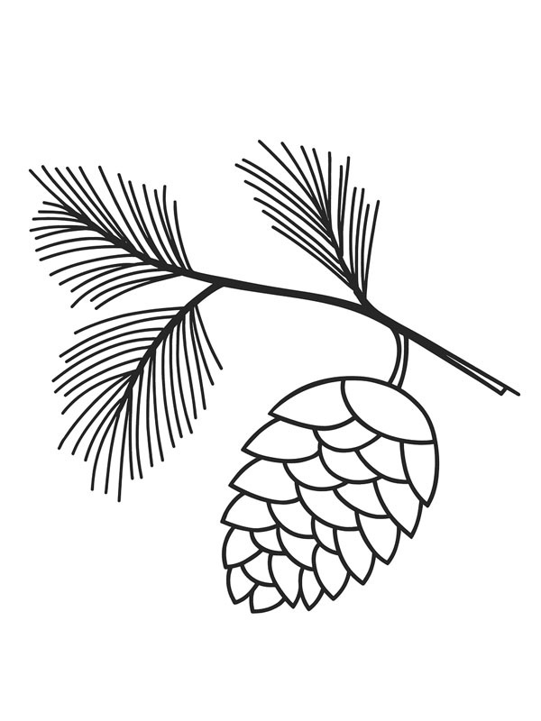 Szyszka kolorowanka