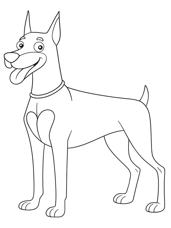 Doberman kolorowanka
