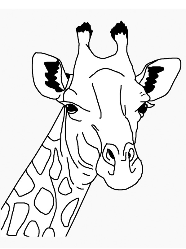głowa żyrafy kolorowanka