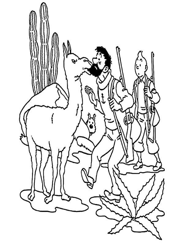 Kapitan Baryłka i Tintin kolorowanka