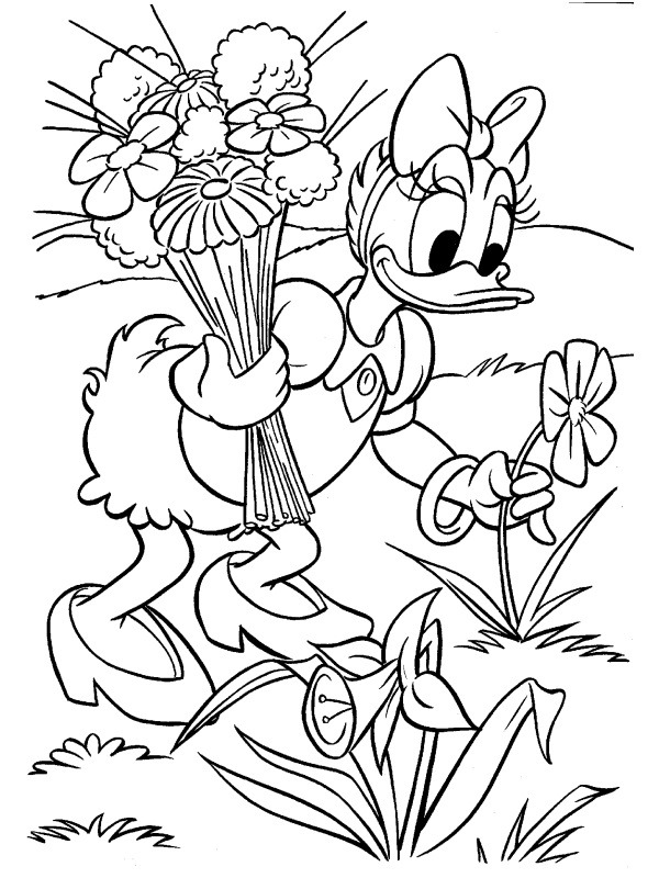Kaczka Daisy zbierająca kwiaty kolorowanka
