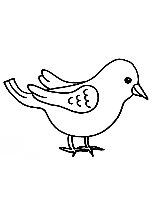 Ptaszki kolorowanka