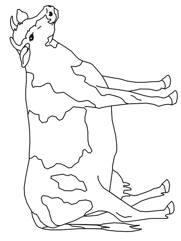 krowa kolorowanka