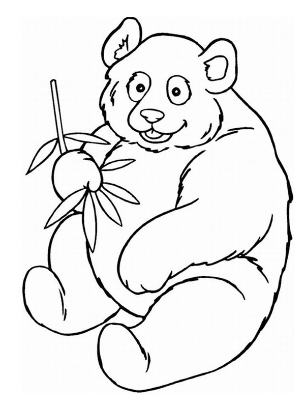 Niedźwiedź Panda kolorowanka