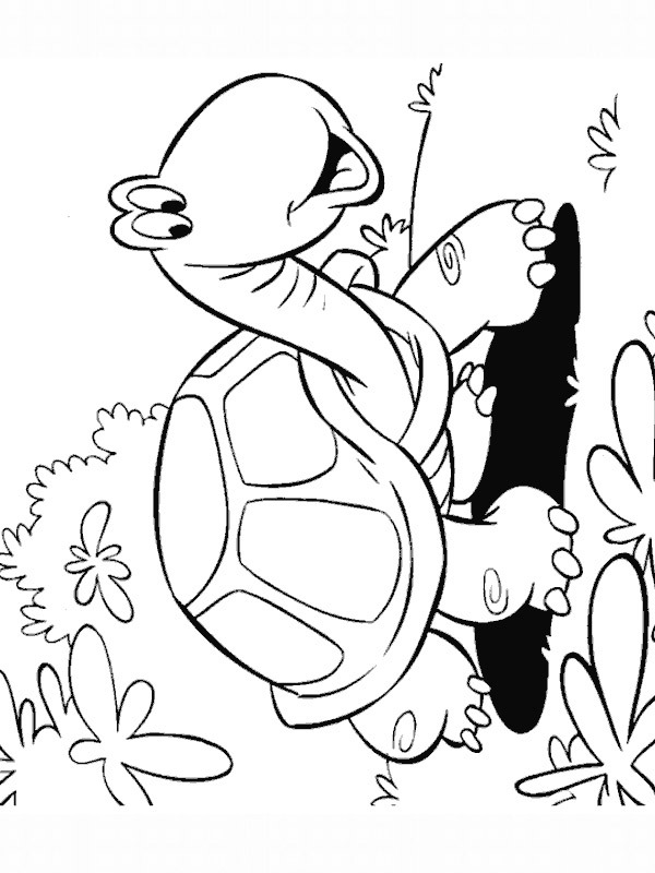 żółw idzie na spacer kolorowanka