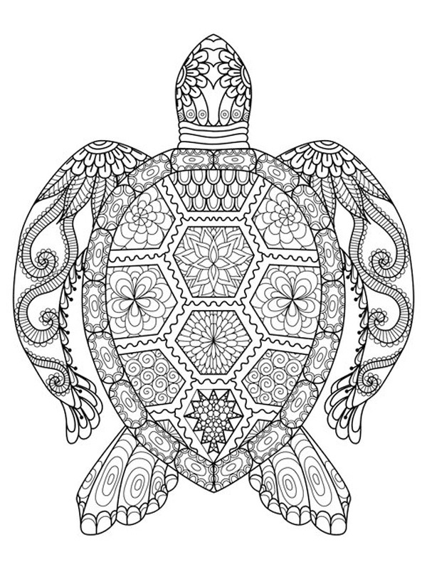 tatuaż mandali żółwia kolorowanka