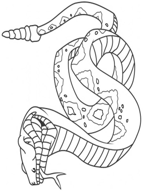 węże kolorowanka