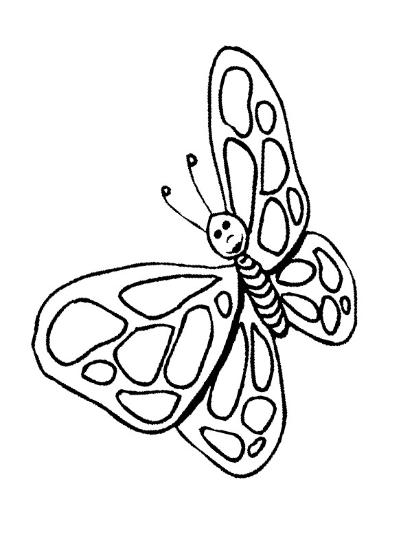 Motyl kolorowanka
