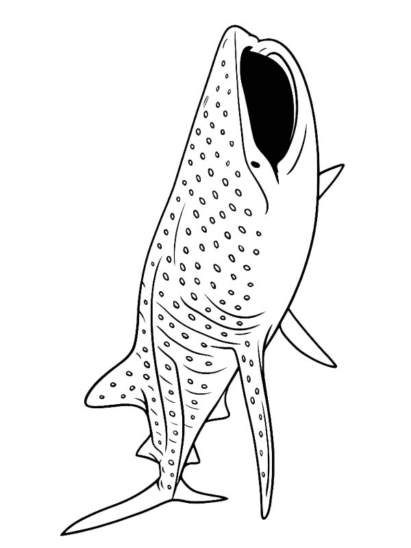 Rekin wielorybi kolorowanka