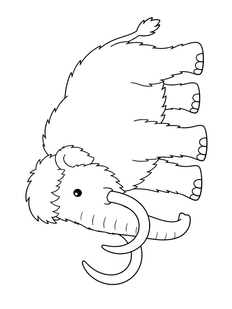 Mamut włochaty kolorowanka