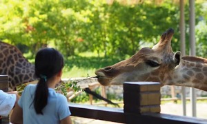 Ogród zoologiczny